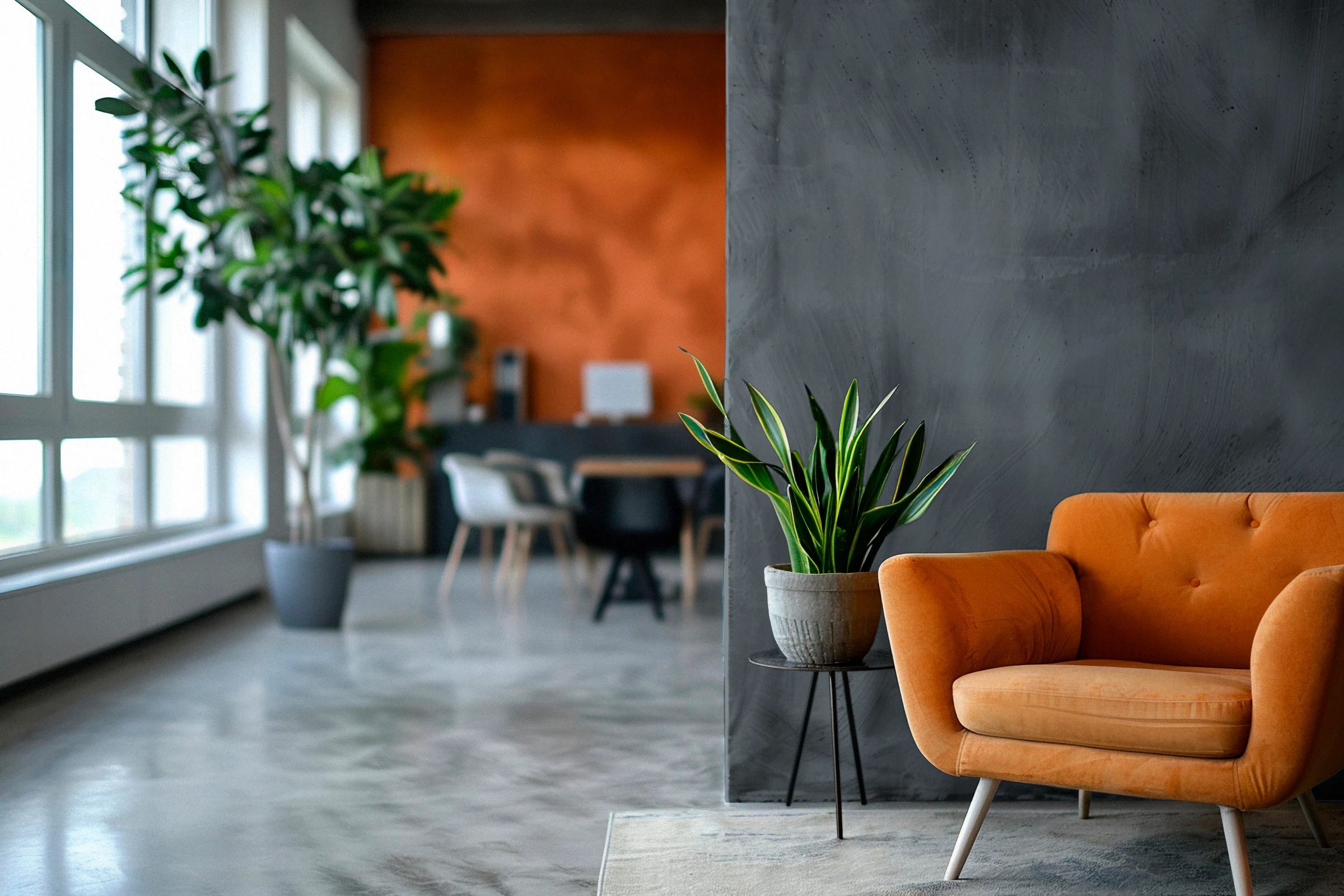 Lounge con parete tinteggiata WORK SPACE Avio